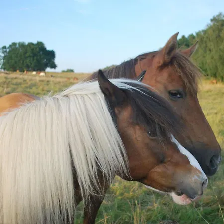 度假居 Mit Hund By Interhome *