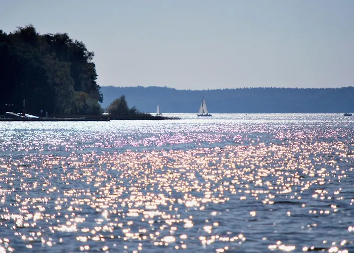 Mit Hund By Interhome 別荘 *