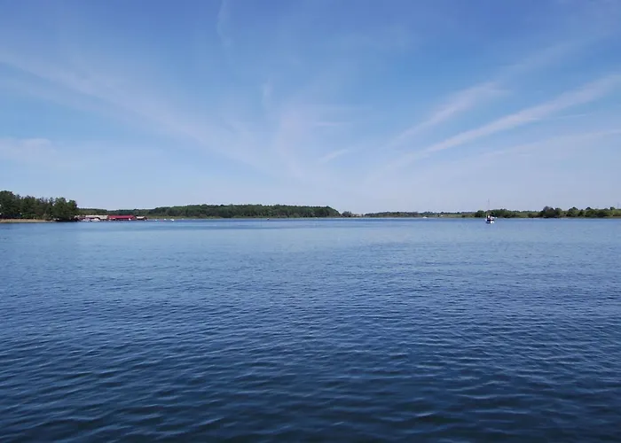 Mit Hund By Interhome Fuenfseen