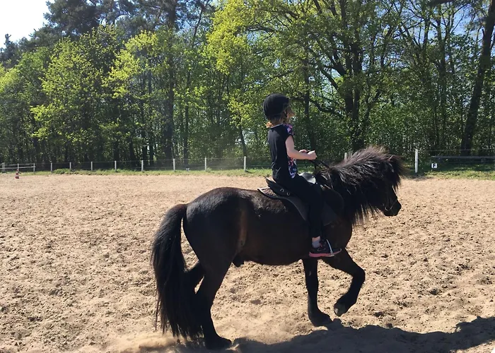 別荘 Mit Hund By Interhome