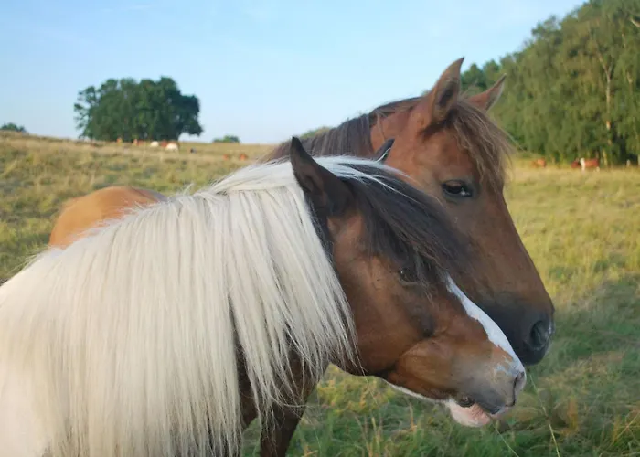 別荘 Mit Hund By Interhome *