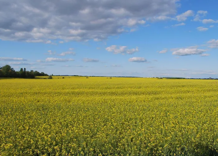 Mit Hund By Interhome 別荘 *